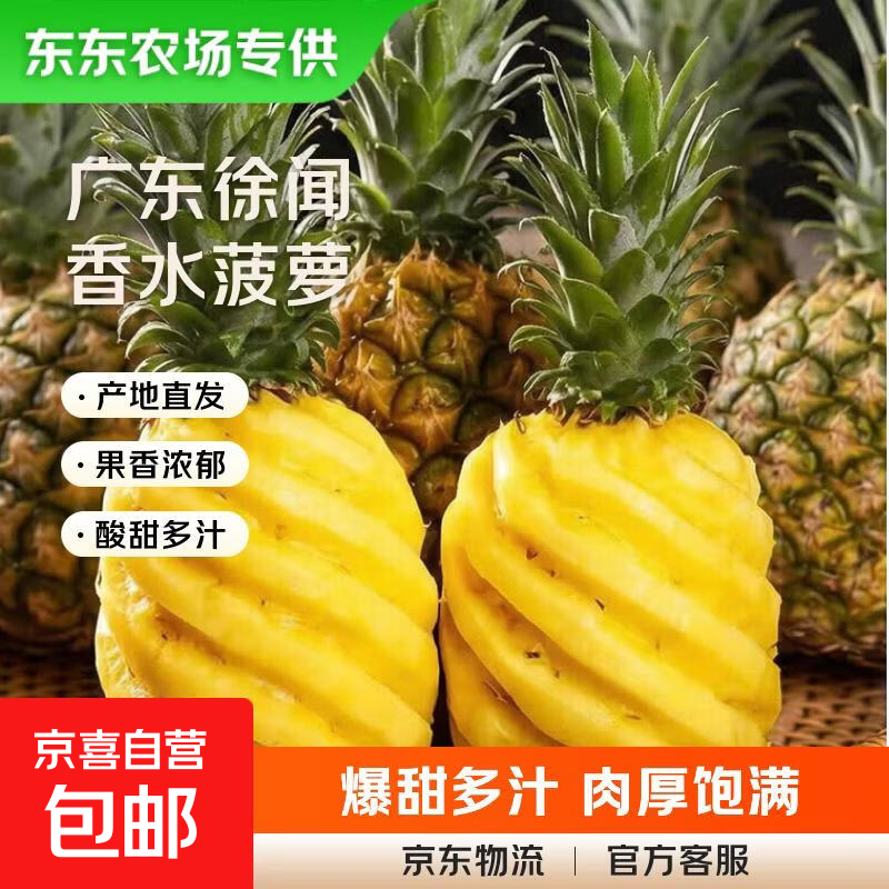 东东农场专供 徐闻香水菠萝 4-6个装 净重8.9-9.3斤 单果650克起 20.99元