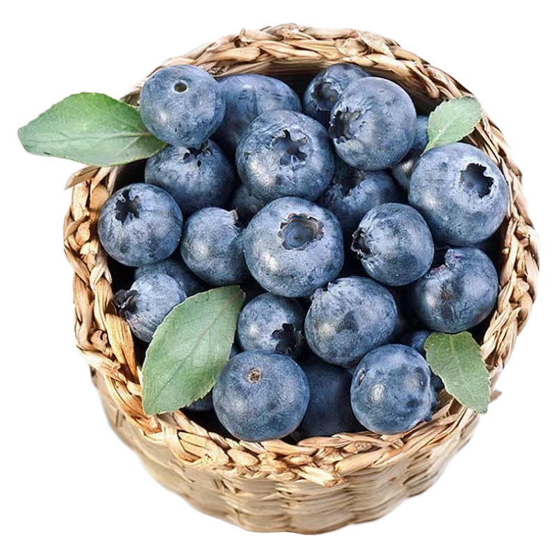 愉果（yuguo）新鲜蓝莓125g装 新鲜水果 新鲜水果 4盒实惠装 19.9元(plus会员19.63