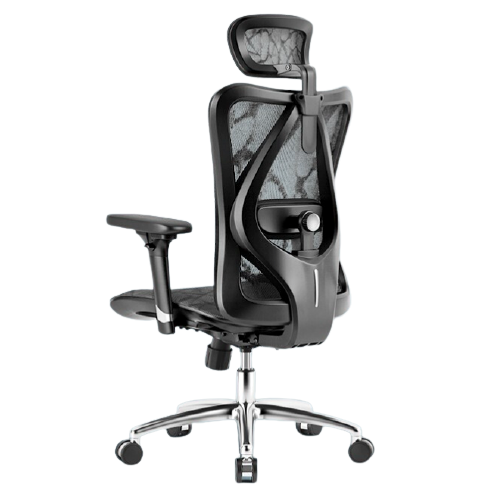 SIHOO 西昊 M57 人体工学电脑椅 黑色 标配款 839元（需用券）