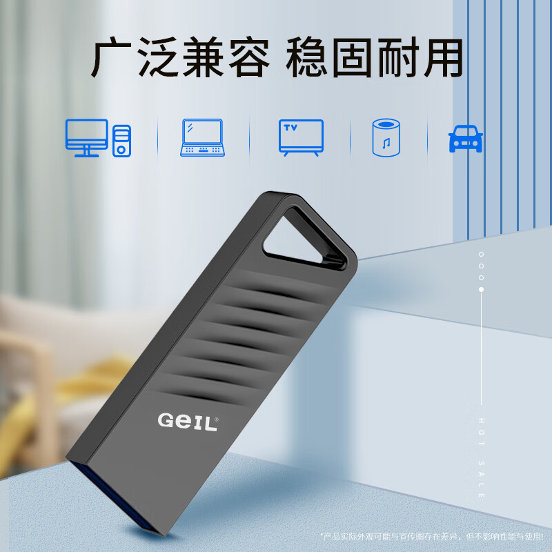 GeIL 金邦 64GB USB3.2 U盘 读速100MB/s 全金属高品质u盘 学习办公商务优盘大容量G