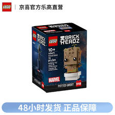 LEGO 乐高 方头仔系列40671盆栽格鲁特男女收藏拼装积木玩具礼物 68元