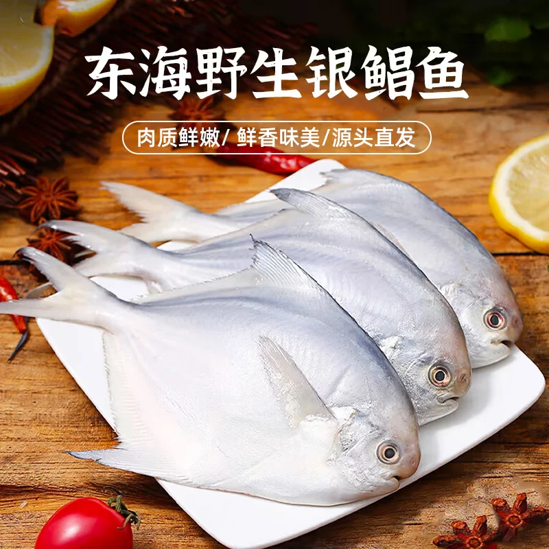 鼎呱鲜 鲜活银鲳鱼 深海新鲜冷冻款 500g*3袋 59.42元 - 清风线报