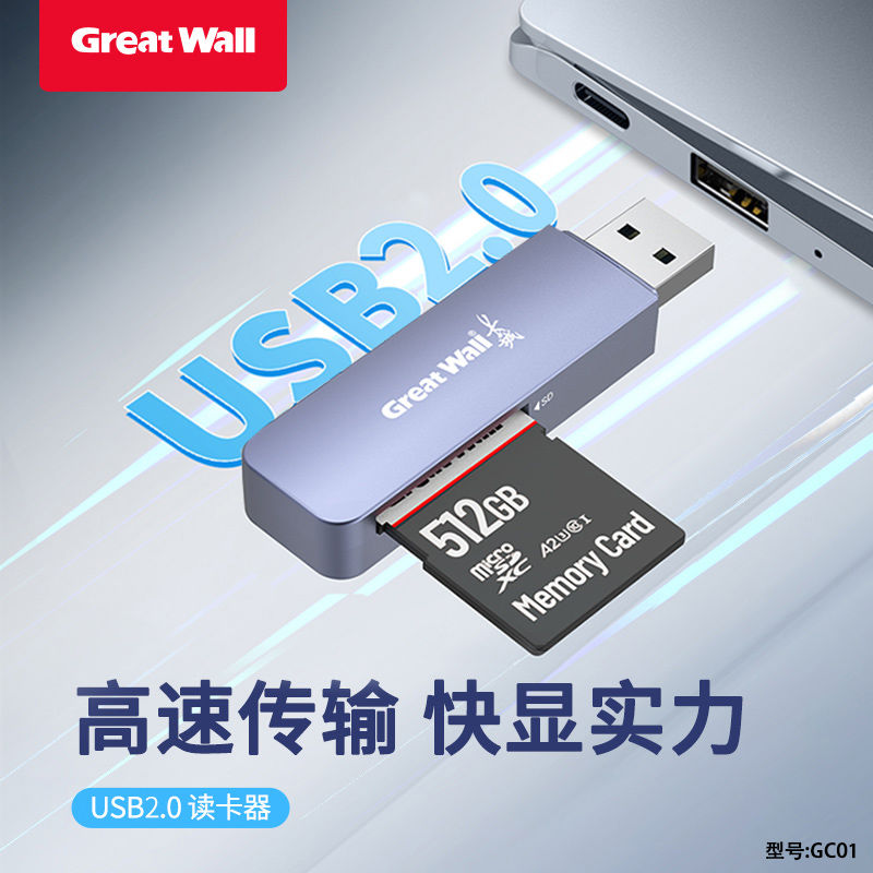 百亿补贴：Great Wall 长城 原装USB2.0读卡器SD/TF多功能二合一电脑手机内存读