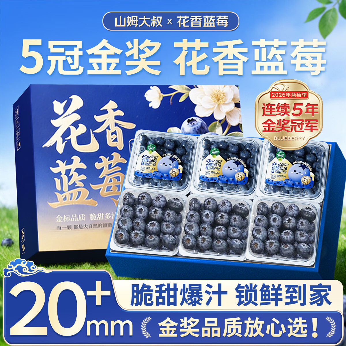 山姆大叔 金奖蓝莓云南L25花香蓝莓年货礼盒水果礼盒装 4盒100g/盒 单果16-18mm