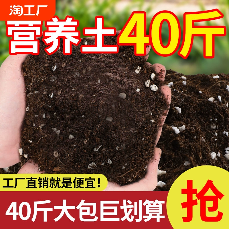 营养土养花通用专用种菜土壤种植土绿植物多肉家用盆栽种花土发酵 ￥2.32