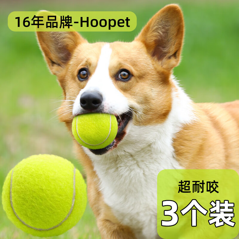 Hoopet 华元宠具（hoopet）狗狗玩具网球耐咬磨牙自嗨解闷神器中大型犬消耗体