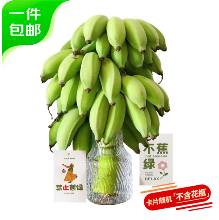 京鲜生 禁止蕉绿苹果蕉 带杆水培香蕉 净重7-8斤 34.9元包邮（需领券）