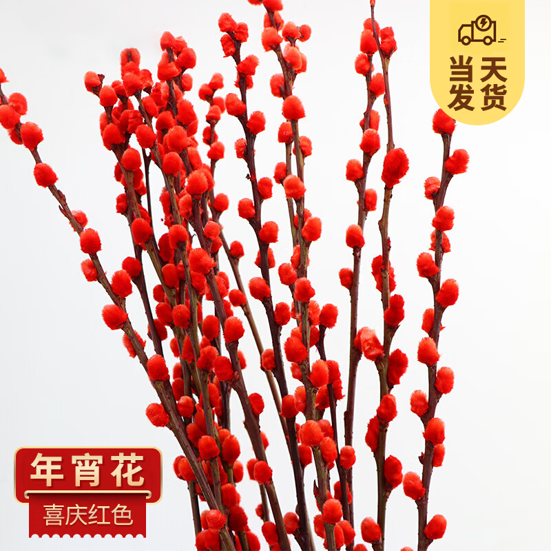 KaiShiguo Plants 开时果 银柳鲜枝 30枝 45cm 9.9元（需用券）