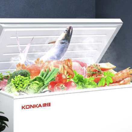 KONKA 康佳 BD/BC-219DTH 冰柜 219L 739元（需用券）