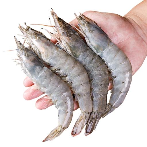 海头海州湾 厄瓜多尔白虾 3.3斤盒装 61.72元（需用券）