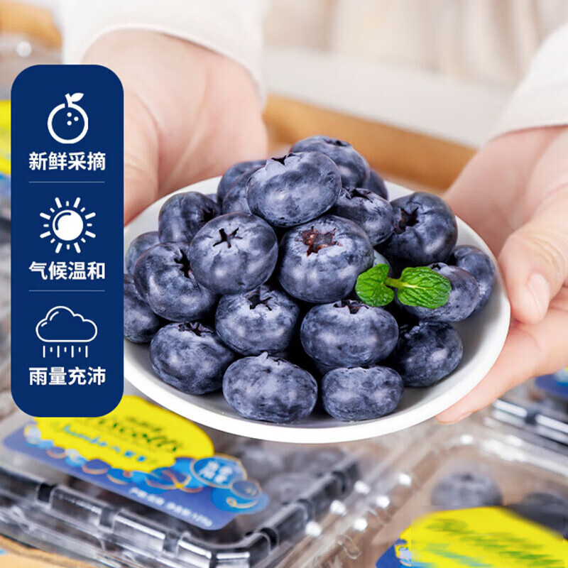 梦芷 言果纪新鲜蓝莓 酸甜口感新鲜水果 孕妇宝宝可食用 甄选 蓝莓 125g*6盒 
