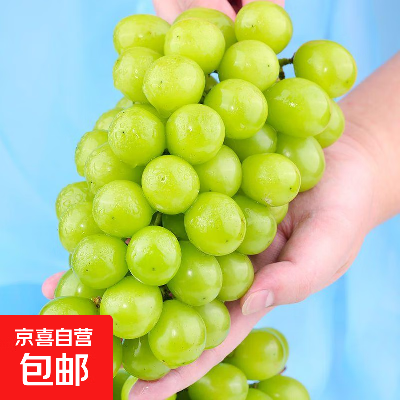 阳光玫瑰 无籽青提 带箱3斤（单果10g+） 21.9元（需用券）