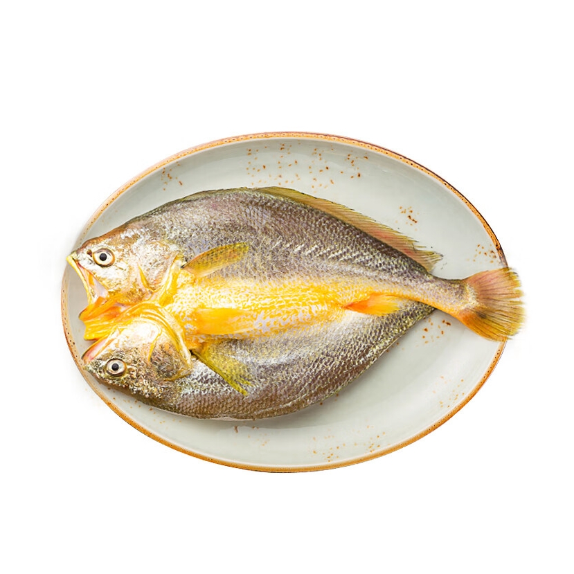 黄小渔 醇香黄鱼鲞250g*6条（净重1.5kg）大黄花鱼生鲜水产鱼类源头直发 59.9