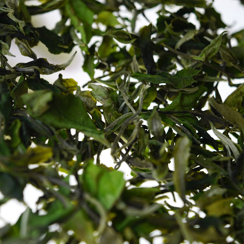 言印 茶叶 冰岛白茶 春茶散茶 礼盒装 1箱 112元 - 线报酷
