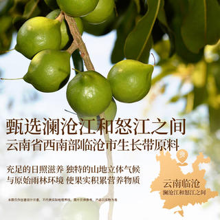 良品铺子 夏威夷果大开口罐装 500g 24.9元 - 86线报 良品铺子 夏威夷果大开口罐装 500g 24.9元 - 86线报