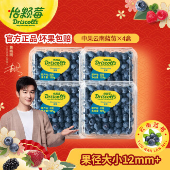 怡颗莓 当季云南蓝莓 Jumbo超大果国产蓝莓 新鲜水果 云南当季125g*4盒 ￥89.8