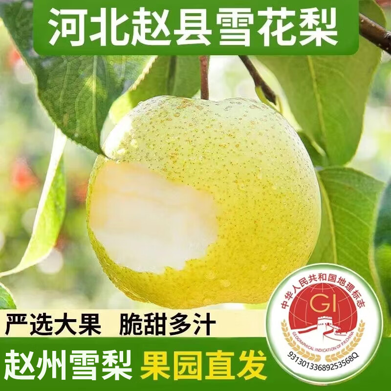 远达 YUANDA 远达 赵县古树雪花梨 4.5kg 9.9元（需用券）