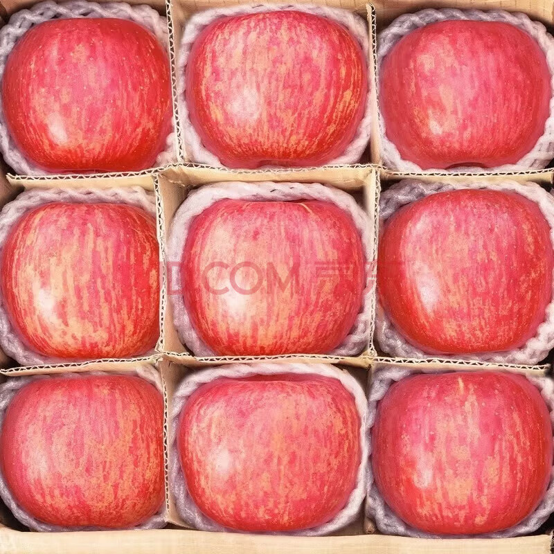 鲜级佳 年货节 山东特产脆甜烟台红富士苹果10斤装 特大果 52.5元（需用券）