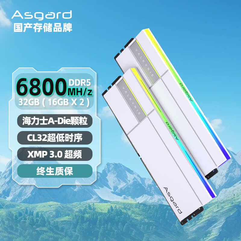 Asgard 阿斯加特 32GB(16Gx2)套 DDR5 6800 台式机内存条 RGB灯条-女武神·瓦尔基里Ⅱ