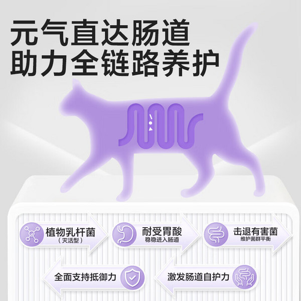 NOURSE 卫仕 猫力肠 240片