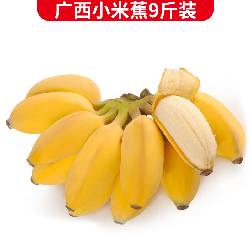 plus会员， 静益乐源广西小米蕉 粉蕉 新鲜香蕉水果 9斤 16.73元