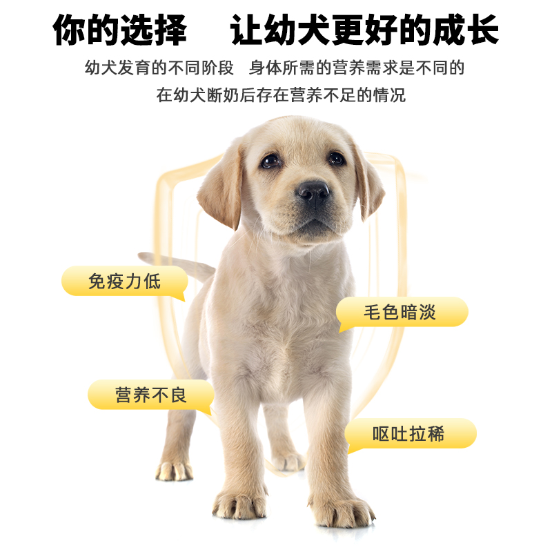 汪爸爸 鲜肉全犬幼犬狗粮 55元