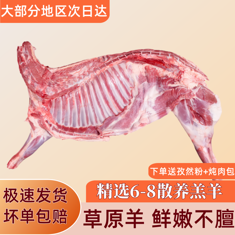 柒岛 原切10斤半羊羊肉羊前腿羊后腿烧烤羊蝎子生鲜肉类带肉多手抓羊排 半