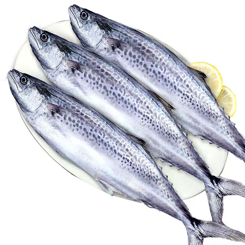 深海捕捞新鲜大马鲛鱼500g*4条 22.75元