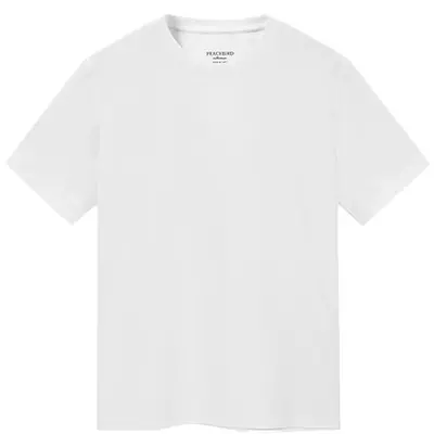 太平鸟男装 夏短袖T恤男 69.5元（需用券）