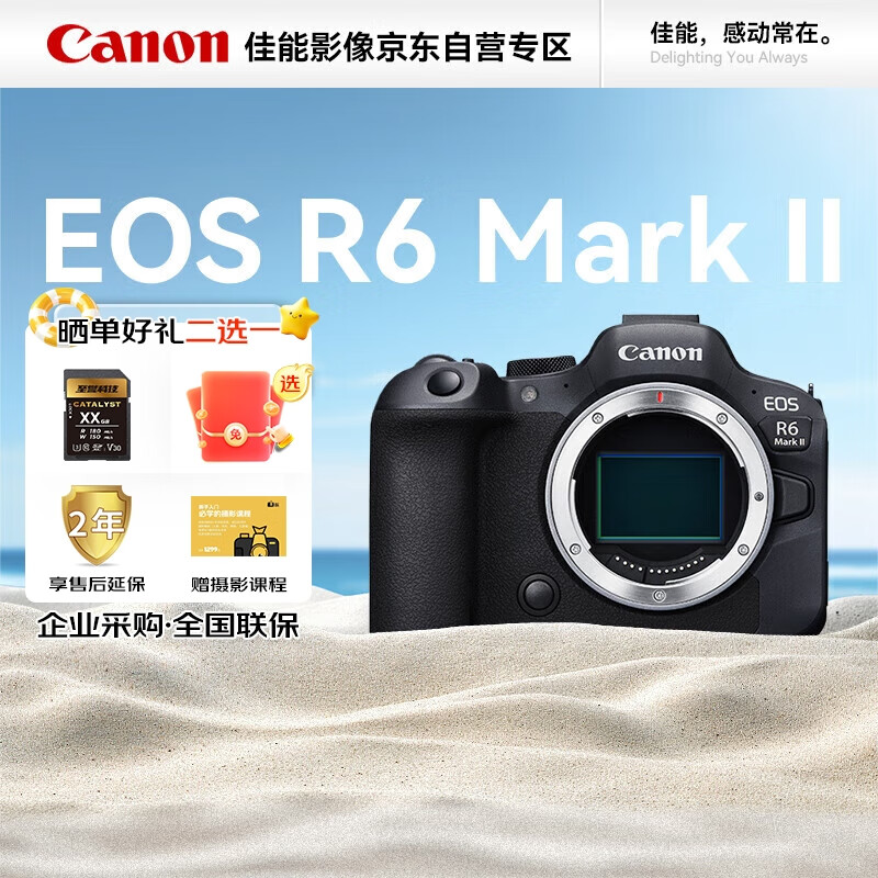 Canon 佳能 EOS R6 Mark II 13832元