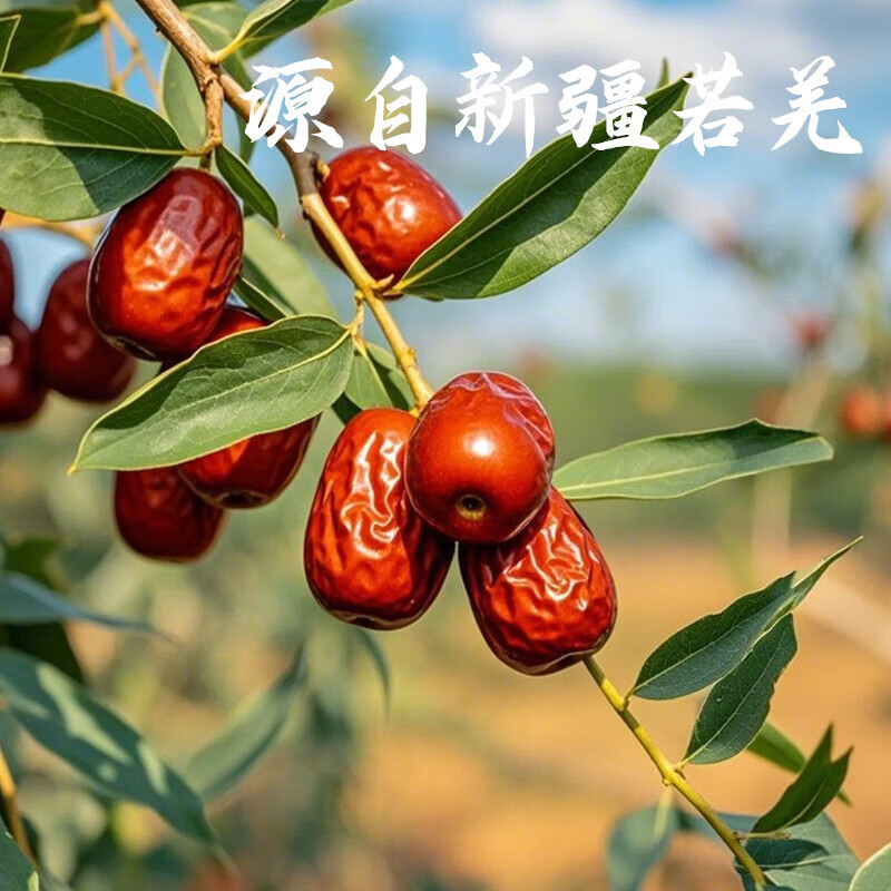 燕之坊 新疆雪域红枣500g*2袋 16.9元 - 86线报
