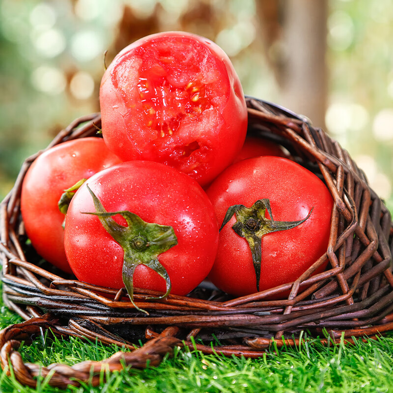 京地达 海阳普罗旺斯西红柿4.5斤彩箱装口感沙瓢番茄源头直发 19.7元