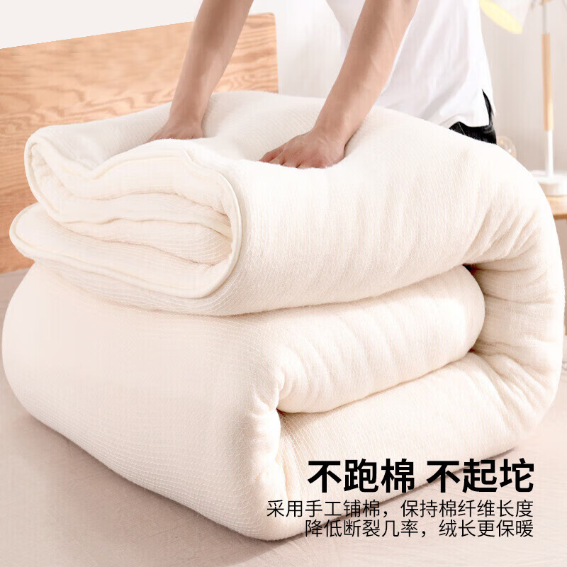 惠寻 新疆长绒棉被 200*230cm 6斤 99.9元（双重优惠）