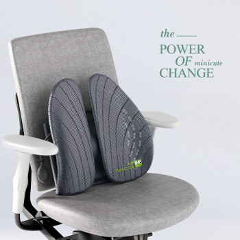 米乔人体工学 腰垫办公室腰靠护垫腰靠背椅子腰托座椅久坐腰部 气动版 ￥1