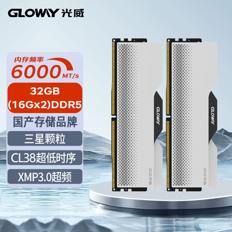 GLOWAY 光威 32GB(16GBx2)套装 DDR5 6000 台式机内存条 龙武系列 三星颗粒 CL38 456.51