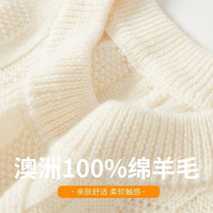 超V：FORTEI 澳洲100﹪绵羊毛 绞花男士毛衣 圆领 25年秋冬款 119元