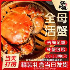 江问鱼 大闸蟹 精品全母3.0-3.3两 8只装 礼盒装 (去绳足重、死蟹包赔!)