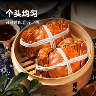 鲜京采 鲜活大闸蟹 全母蟹3.3两 4对8只 去绳足重 蟹类生鲜螃蟹礼盒 204.94元 - 86线报 鲜京采 鲜活大闸蟹 全母蟹3.3两 4对8只 去绳足重 蟹类生鲜螃蟹礼盒 204.94元 - 86线报