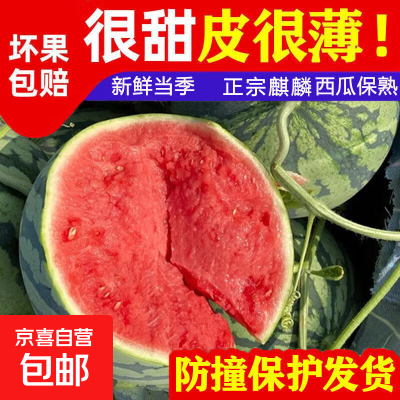 正宗美都麒麟西瓜 当季新鲜 薄皮爆甜 净果7.1-9斤 18.8元