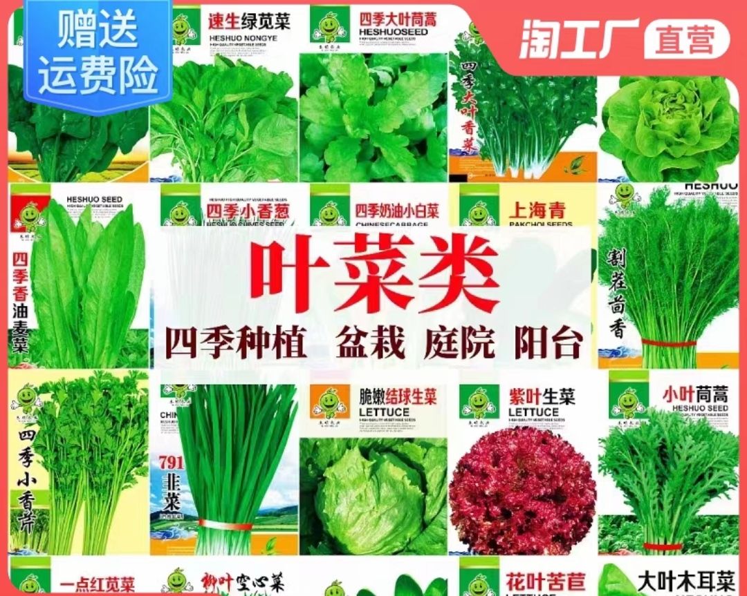 昊兰诺 200种蔬菜任选 四季蔬菜种子 0.01元（需用券）