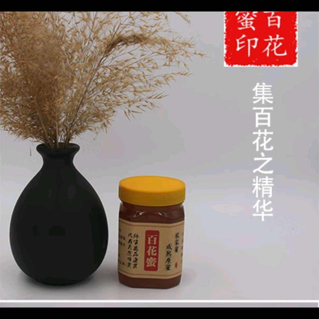 质忠 甘肃临泽花粉蜂蜜 张掖特产蜂农自产农家蜂蜜 质忠蜂蜜 沙枣花蜜500g/