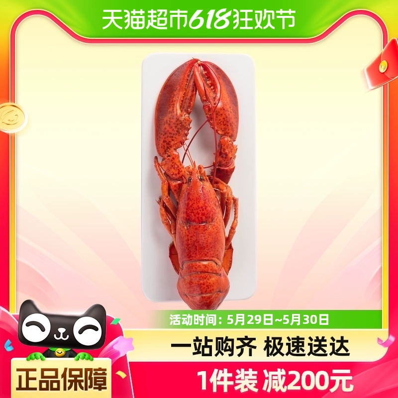 喵满分 熟冻波士顿龙虾2只装（400-450g/只）海鲜水产 1件装 ￥189.05