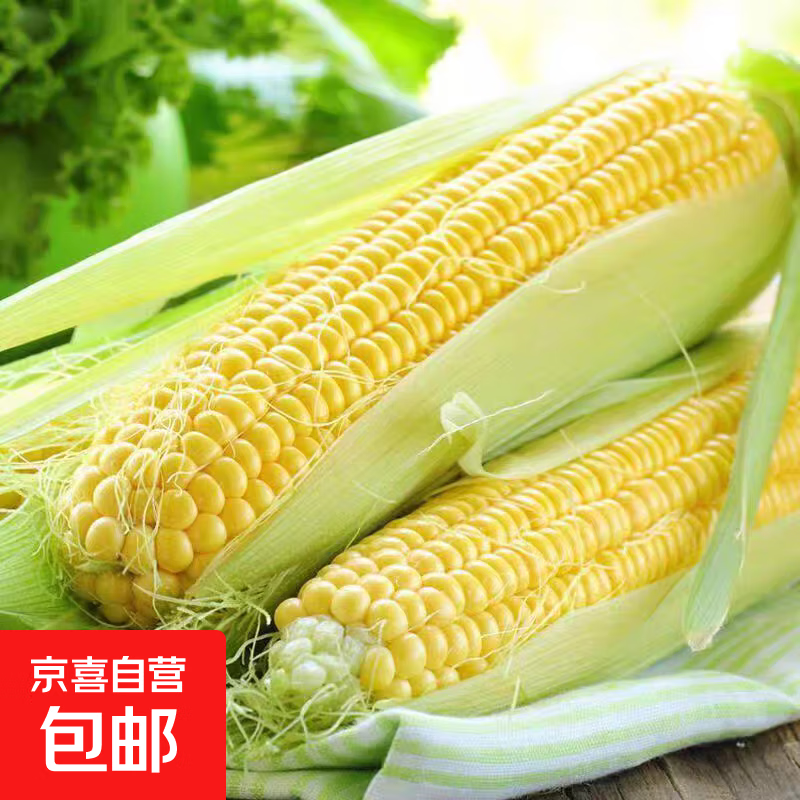 京东 现摘新鲜水果玉米新鲜甜玉米棒生鲜蔬菜可生吃早餐 新鲜水果玉米 2斤