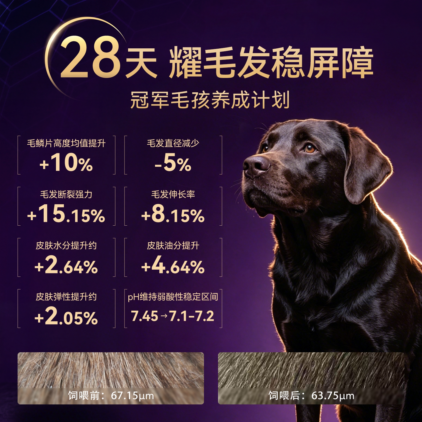 麦富迪 舒然SUPER美毛全价鱼油犬粮 49元 - 86线报