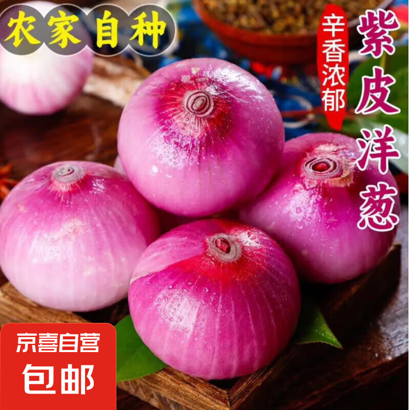 加 自营新鲜紫洋葱 5斤 1.79元
