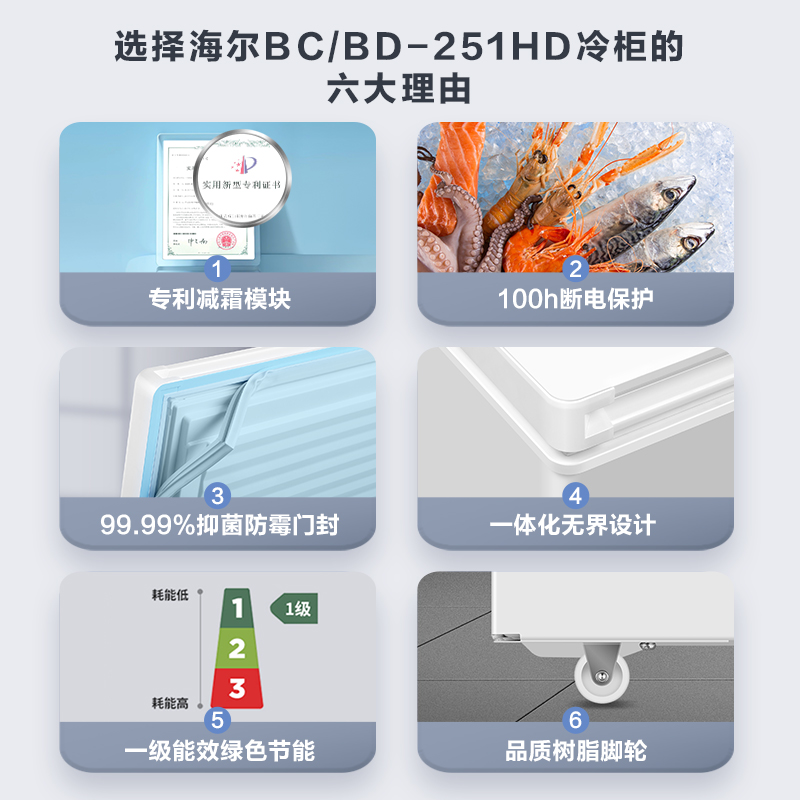 Haier 海尔 251升冰柜保鲜冷冻两用冷柜大容量家商用冷藏冰箱囤货全冷冻 1099