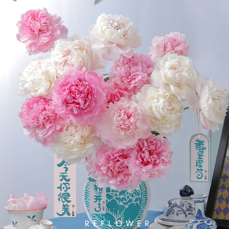 520心动礼：花点时间 珍稀芍药重瓣鲜花 玫瑰-白荔枝10只枝 19.26元（需用券