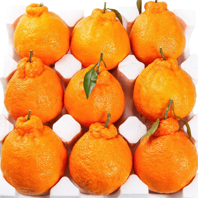 惜音 四川丑橘 丑八怪橘子新鲜当季不知火丑橘子孕妇水果 特选丑橘8斤大果