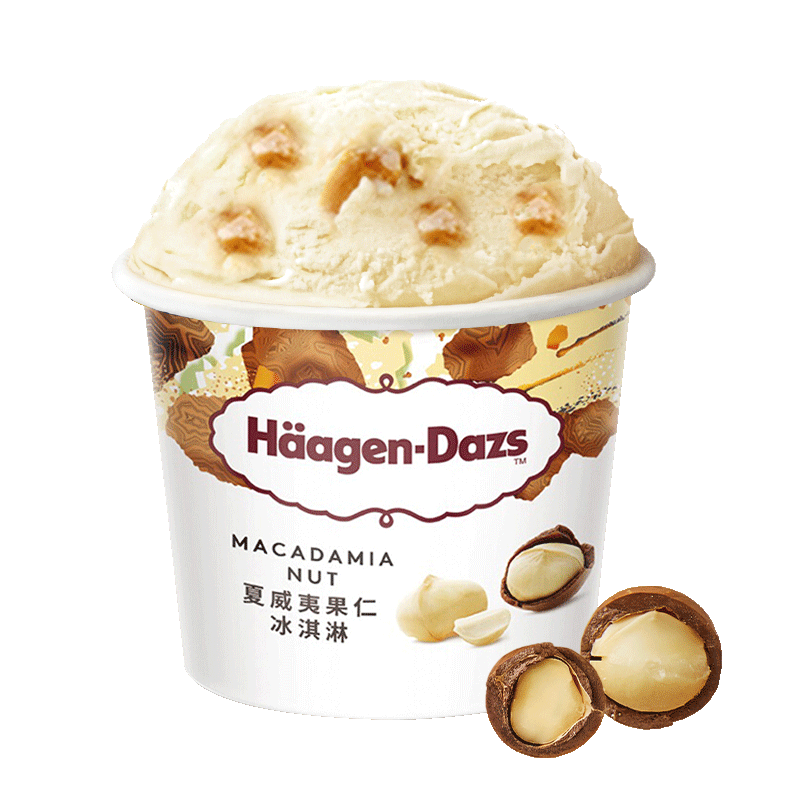 Plus会员：H?agen·Dazs 哈根达斯 夏威夷果仁冰淇淋 81g 90.7元（合18.14元/件）