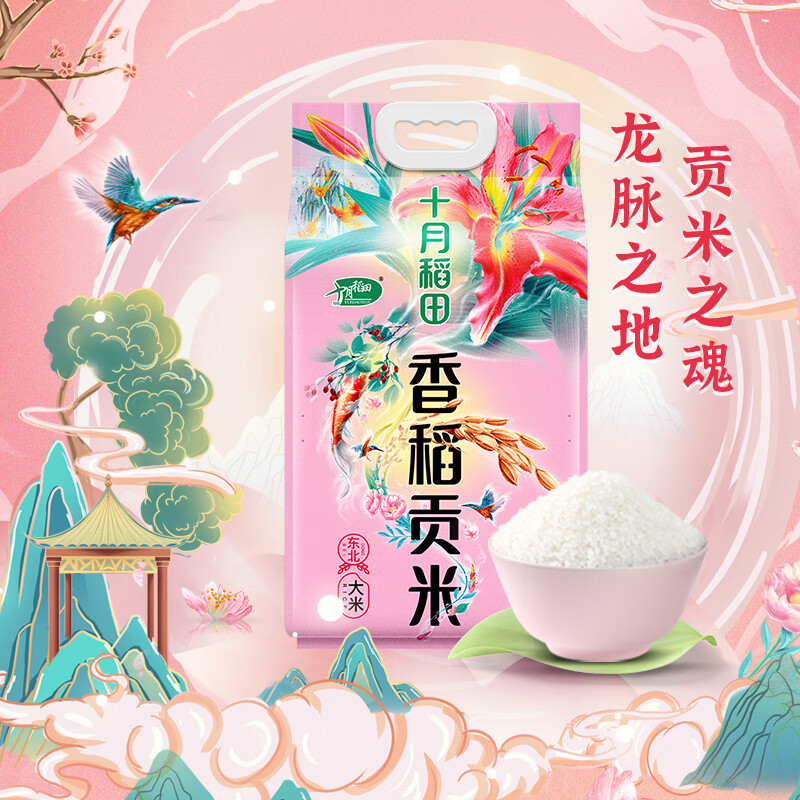 十月稻田 SHI YUE DAO TIAN 香稻贡米 5kg 34.57元(需买3件,需用券)